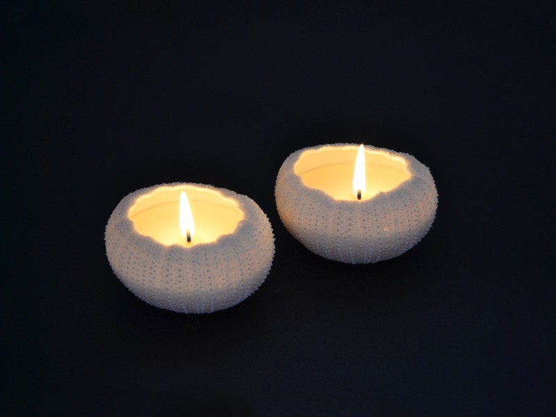 Rafiki Candle Set Of 2 - Cool Water Fragrance